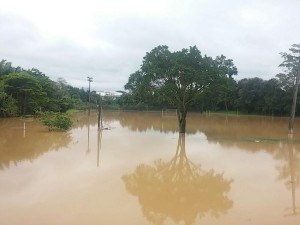 Foto:Fabrício Theophilo/Informe Blumenau