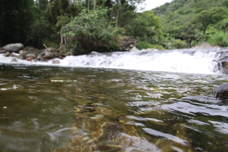 Foto?Marcelo Martins/Secom PMB