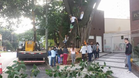 Foto: Alexandre Gonçalves/Informe Blumenau