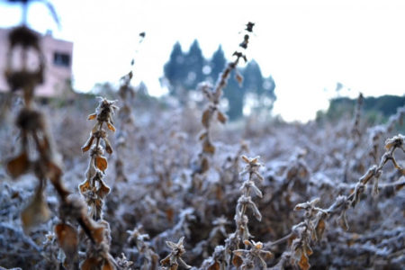 Foto: Nery Nader Jr/ADR Mafra