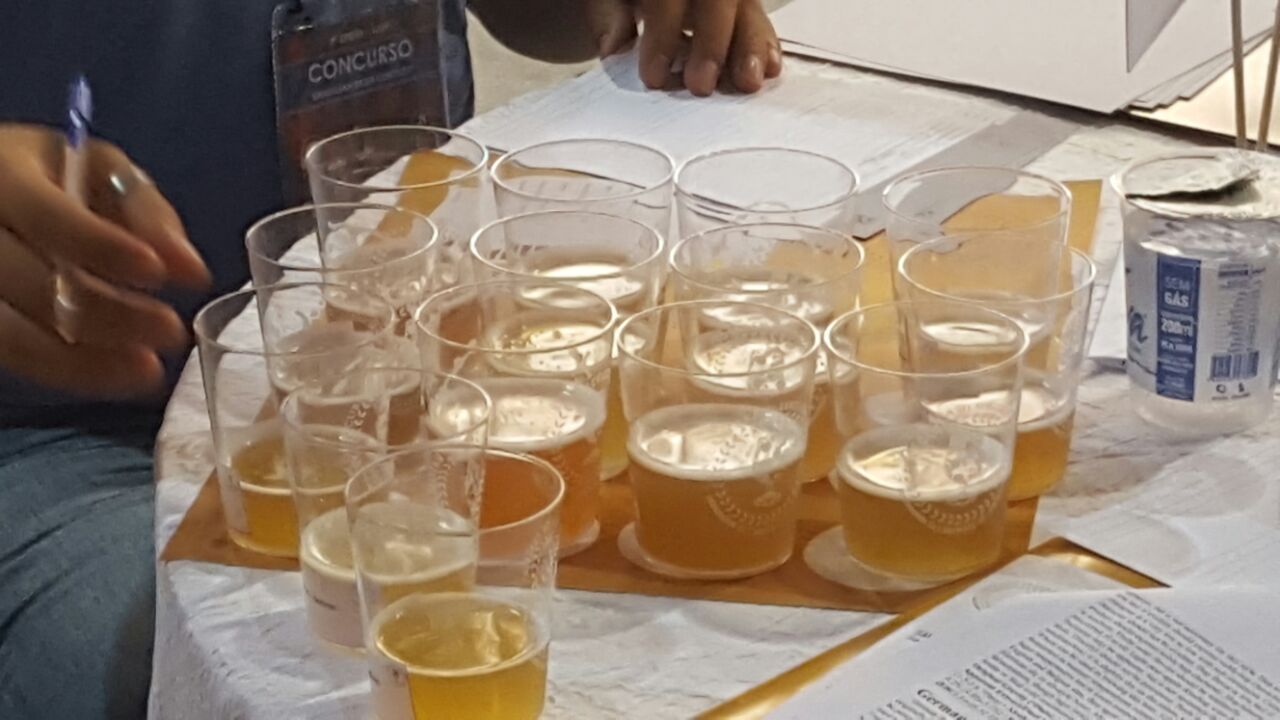 festival brasileiro cerveja2