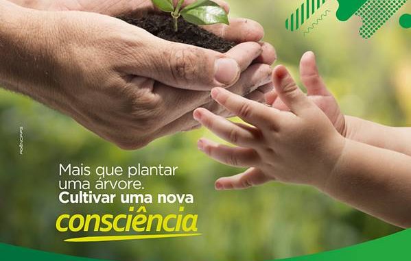 dia arvore