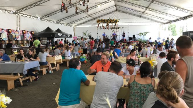 festival cerveja Timbo