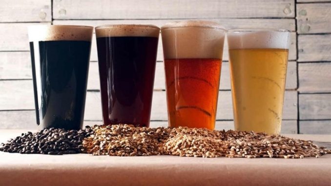 cerveja-artesanal-curso-completo-beersmith-pc-brinde-D_NQ_NP_741513-MLB27194398519_042018-F