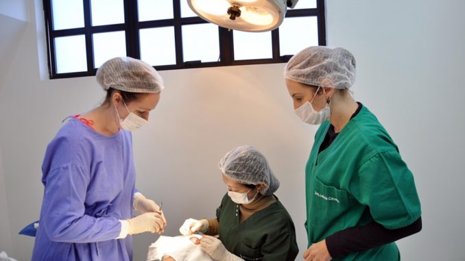 cirurgia mutirao
