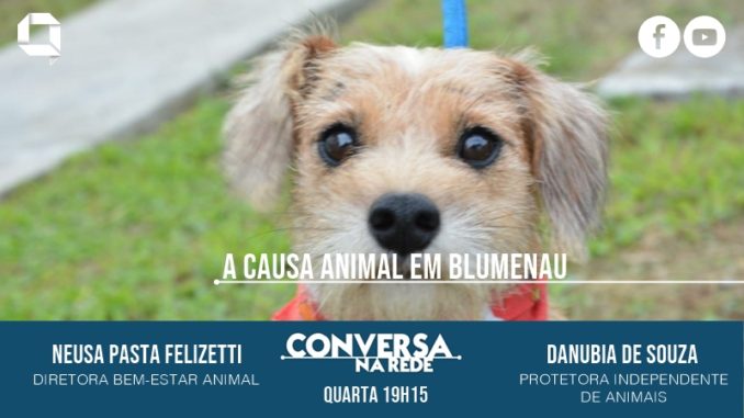 Conversa na Rede arte animais