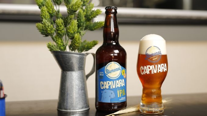 cerveja blumenau