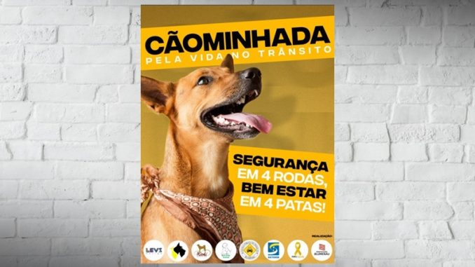 a416baa503d38aa096ad2b5b31a680e2
