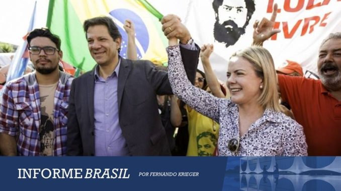 brasil haddad