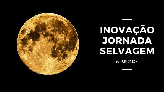 INOVAÇÃO JORNADA SELVAGEM (1)