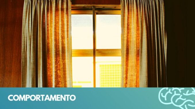 comportamento