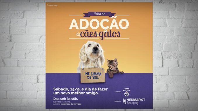 feira de adoção