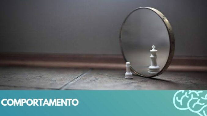 comportamento