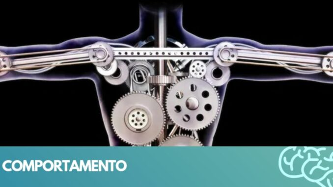 comportamento