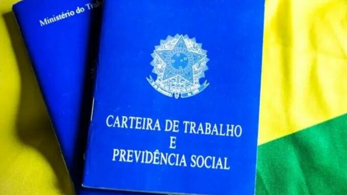 programa verde e amarelo