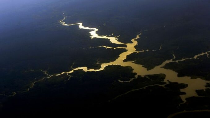 amazonia