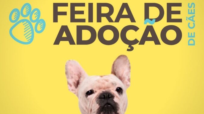 FEIRA