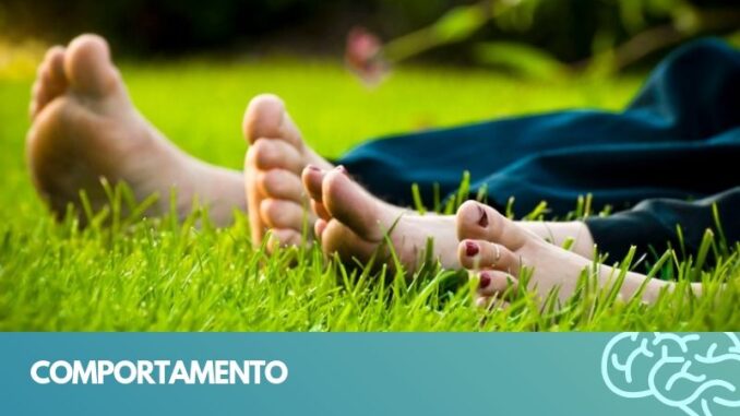 comportamento