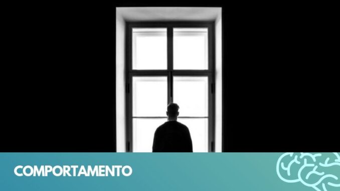 comportamento