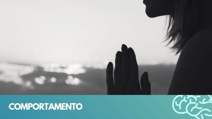 comportamento