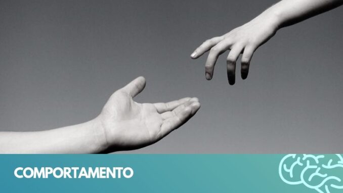 comportamento