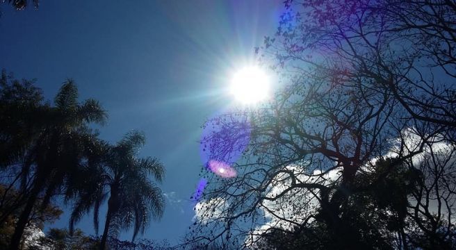 Sol inverno