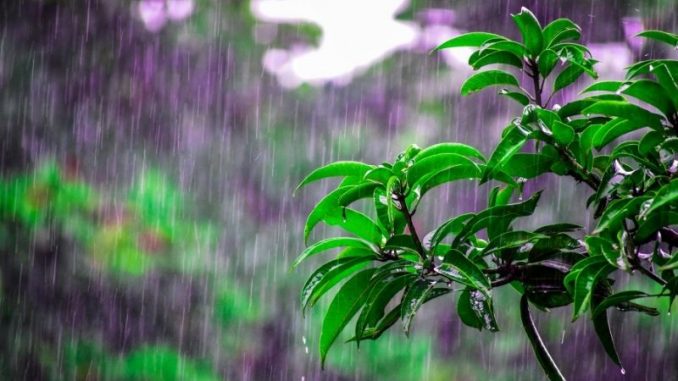 chuva