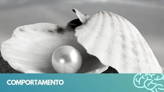 comportamento