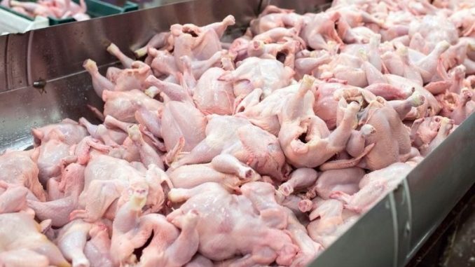 frango