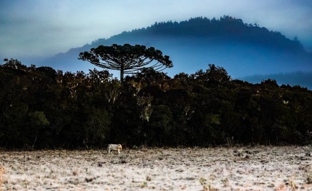 frio_neve_serra_20200817_2022716596