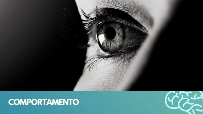 COMPORTAMENTO