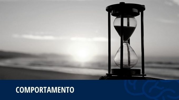 site capa