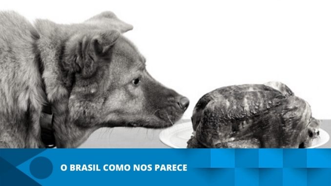o brasil como