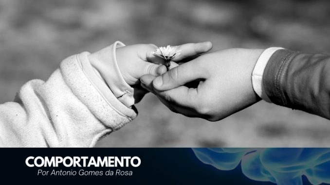 COMPORTAMENTO