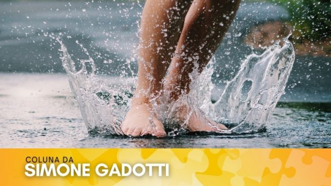 simone-gadotti-opiniao