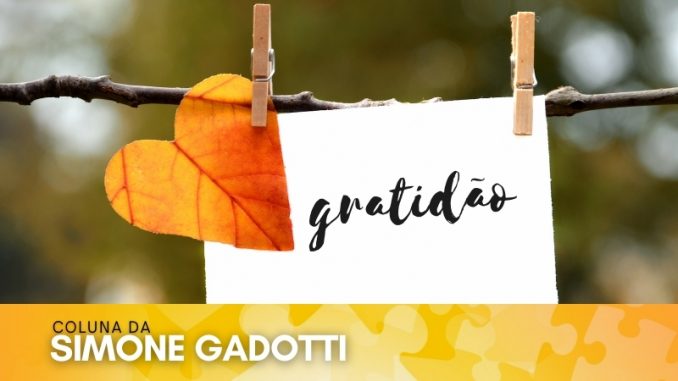 coluna-da-simone-gadotti-opiniao