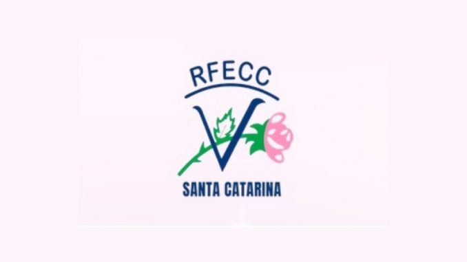 alesc-rede-feminina-de-combate-ao-cancer