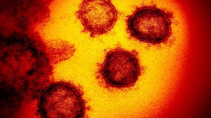 covid-19-pandemia