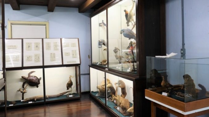 museu-fritz-muller