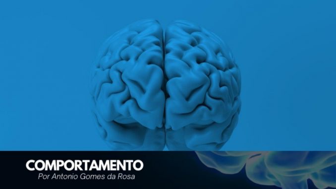 comportamento
