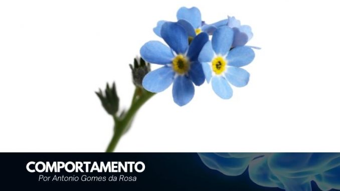 comportamento-capa