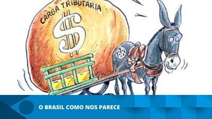 Cópia de Site (34)
