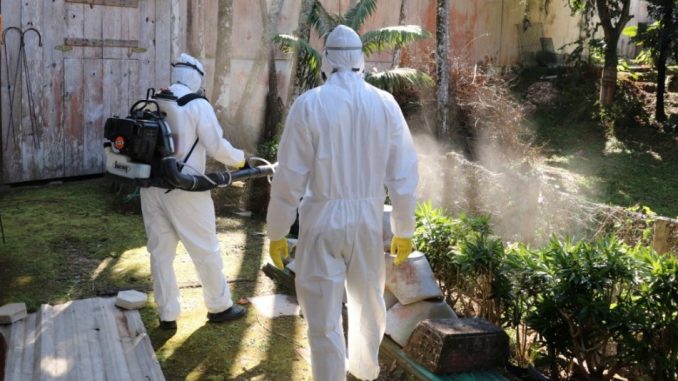 dengue 2