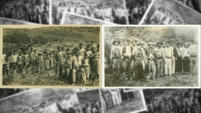 opiniao-nativo