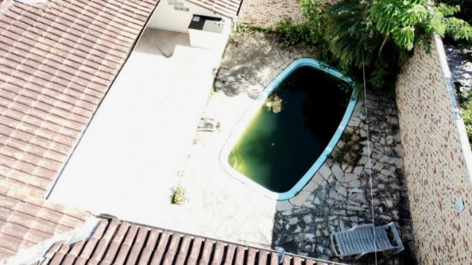 dengue-blumenau