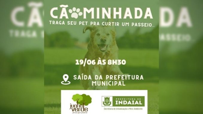 junho-verde-caominhada-indaial