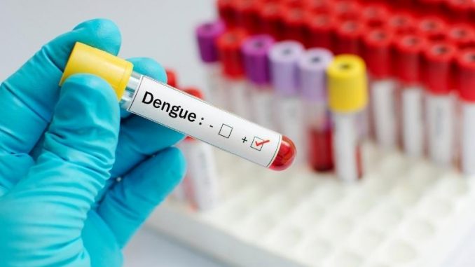 blumenau-registra-casos-de-dengue