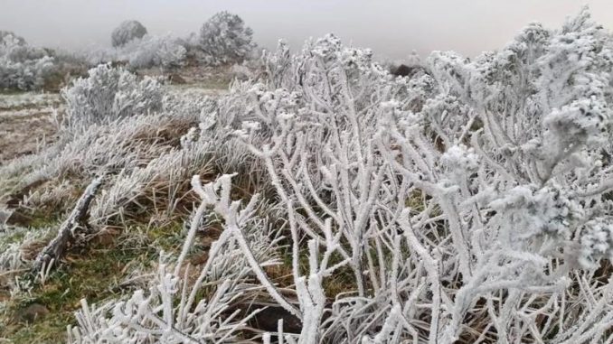 frio-sc