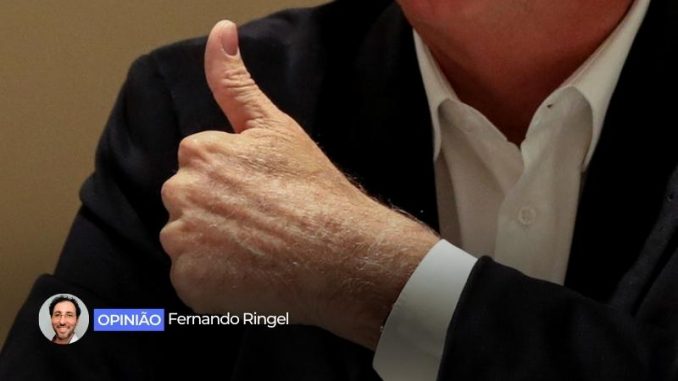 fernando-ringel