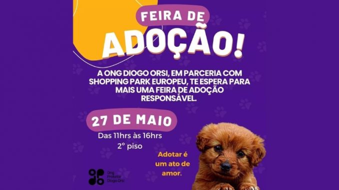 feira-de-adocao-diogo-orsi